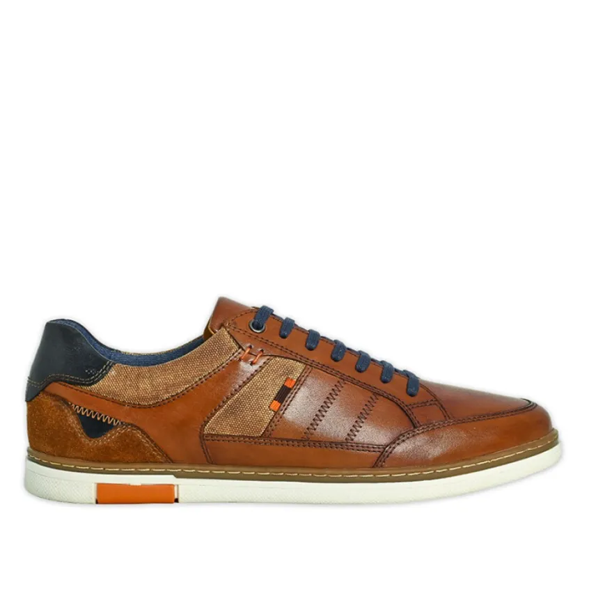 Baskets, Sneakers|TIPO ALTO Derbies Homme Marron