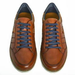 Baskets, Sneakers|TIPO ALTO Derbies Homme Marron