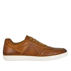 Baskets, Sneakers|TIPO ALTO Derbies Marron